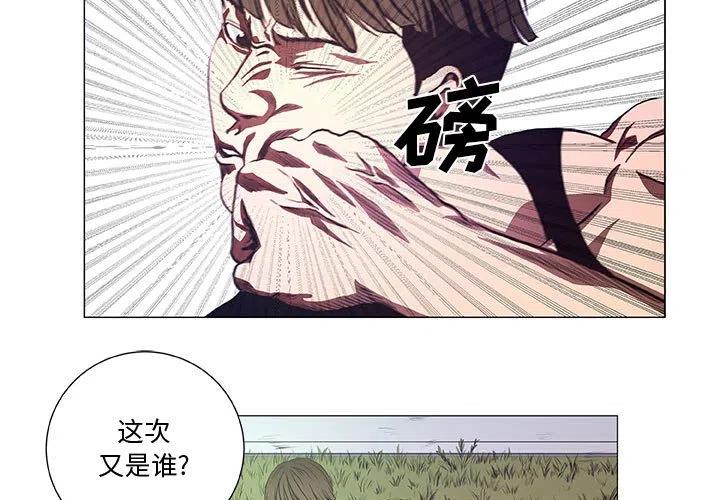 虚拟格斗进化古兰特王漫画,433图