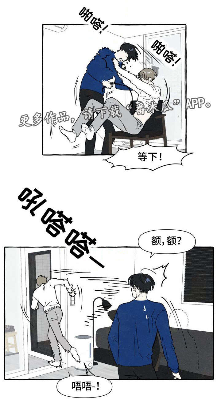 一锤定音前面的一句是什么漫画,第10章：喜欢1图