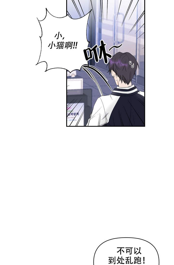 老虎花漫画在画涯叫什么漫画,第2话3图