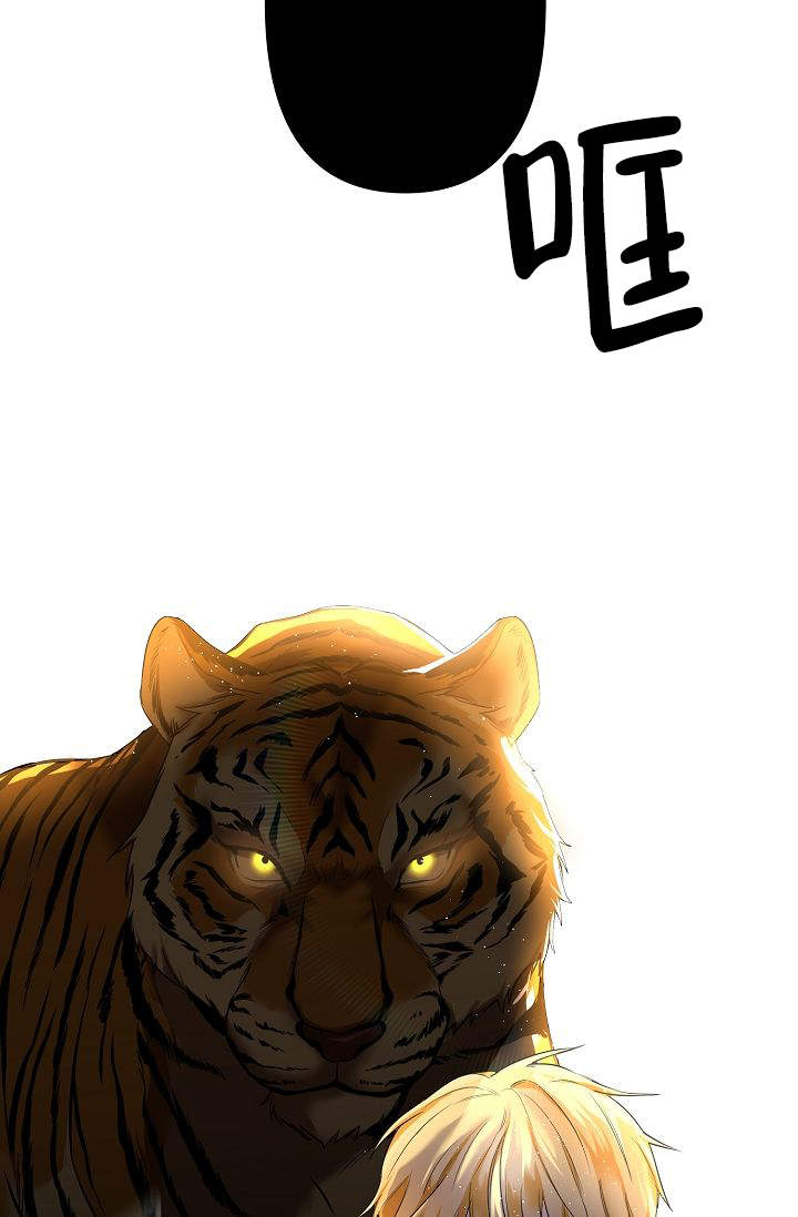 老虎花漫画在画涯叫什么漫画,第3话5图