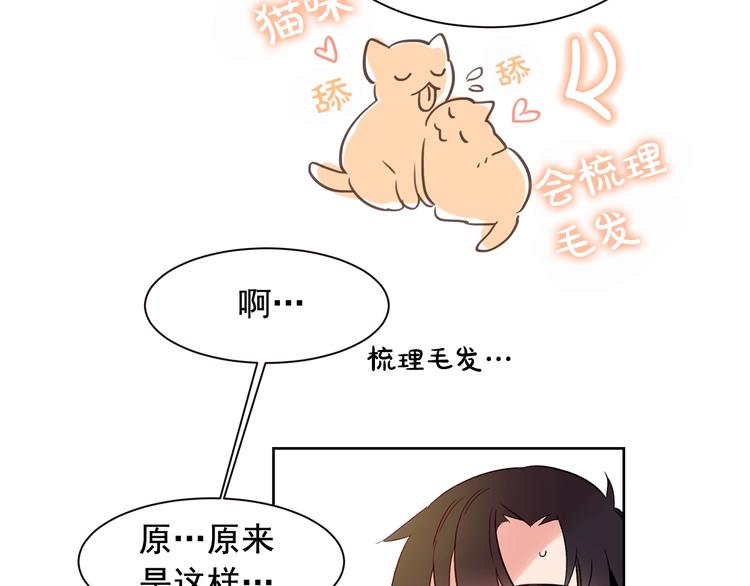 爱喵的喵漫画,第5话 想你，我的主人5图