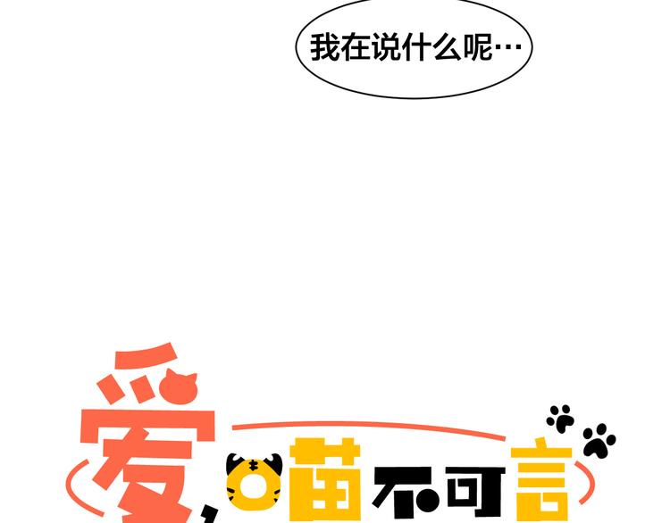 爱喵的喵漫画,第4话 猫先生说5图