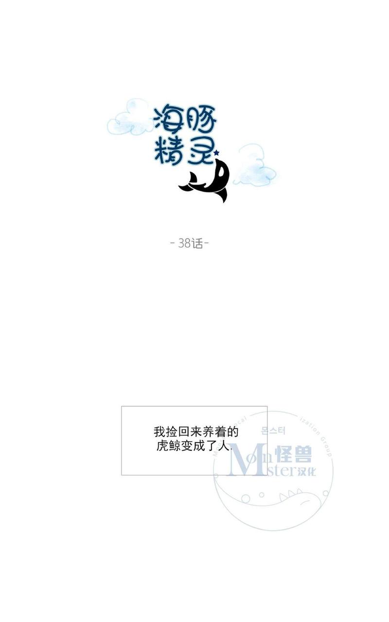 海豚精灵西尔莎漫画,第38话1图