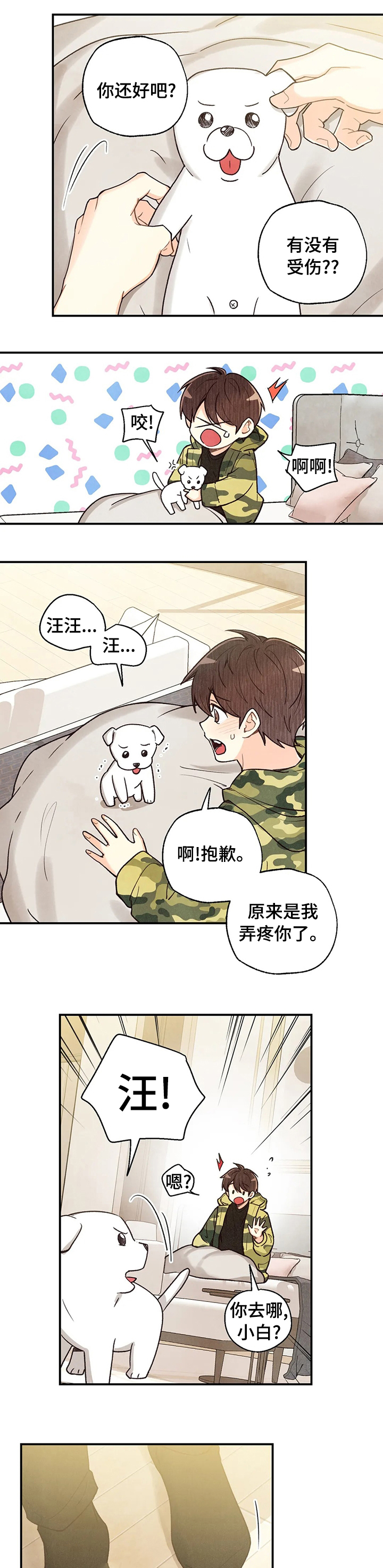 第95章：车祸那次的狗狗2