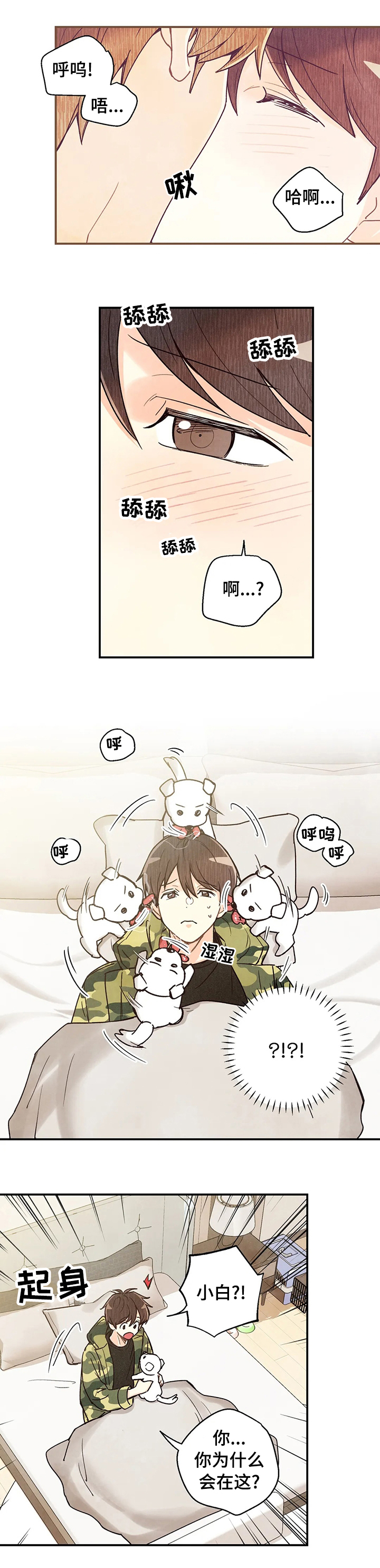 第95章：车祸那次的狗狗1