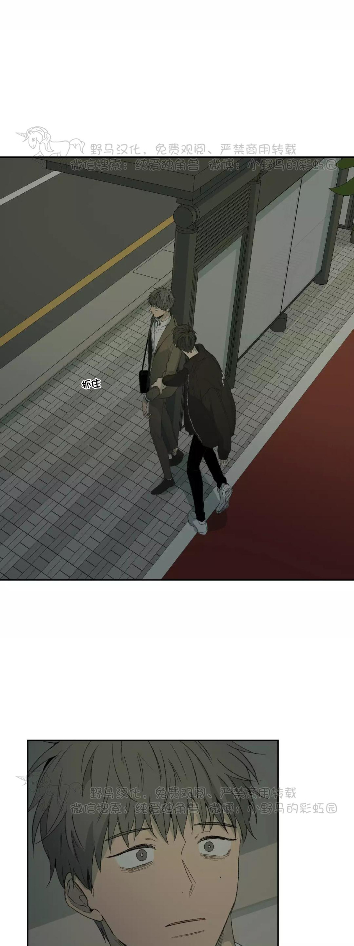 同情的形态漫画,第36话5图