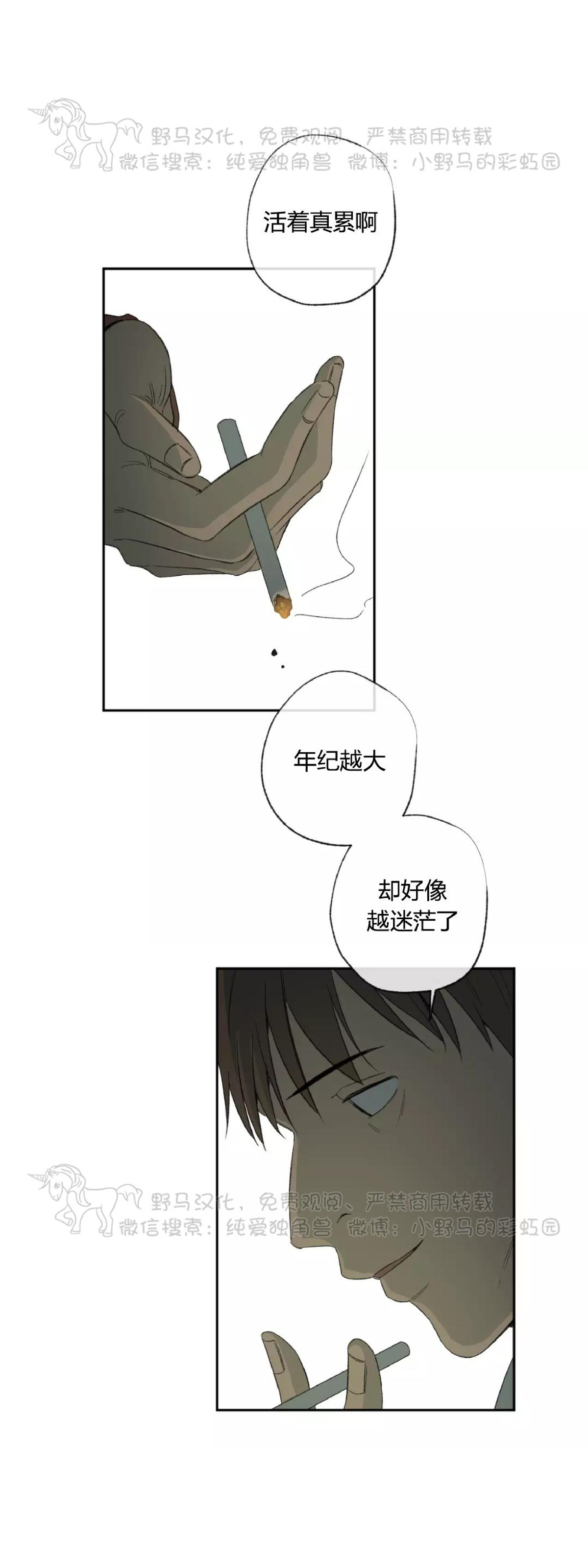 同情的形态漫画,第35话1图
