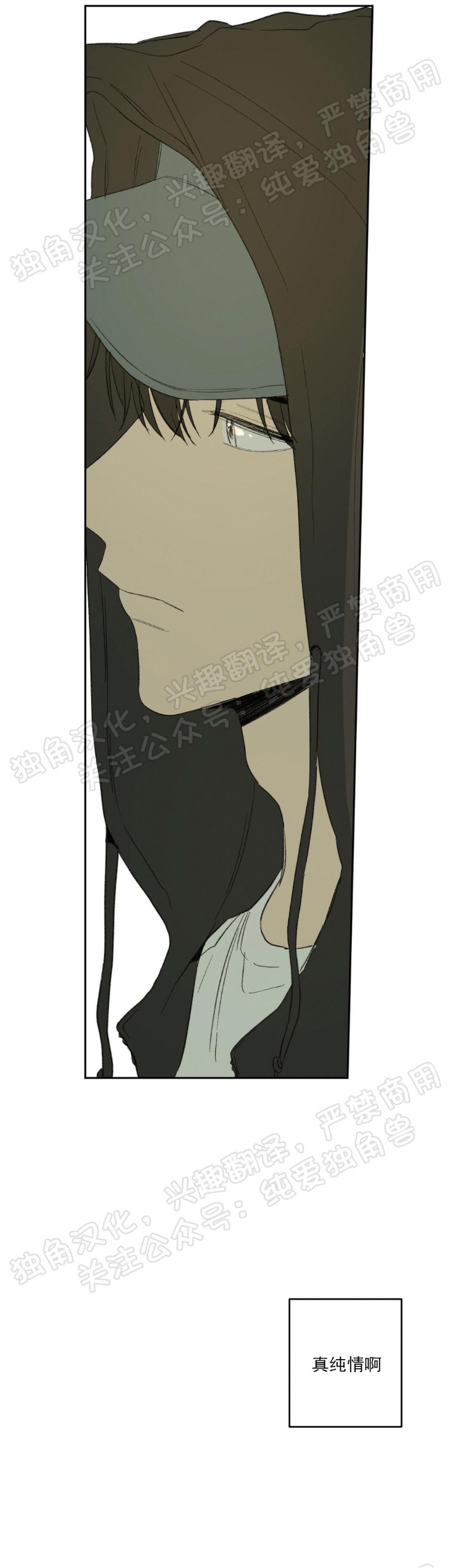 同情的形态漫画,第10话5图