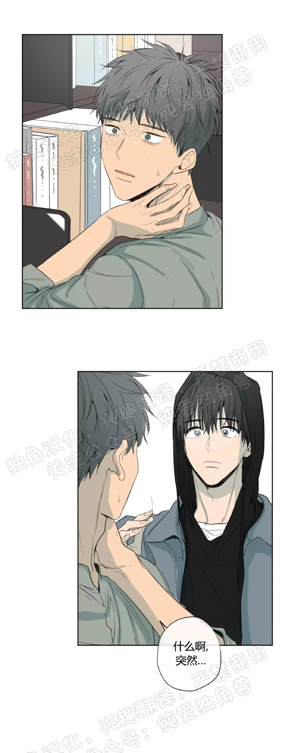 同情的形态漫画,第31话3图