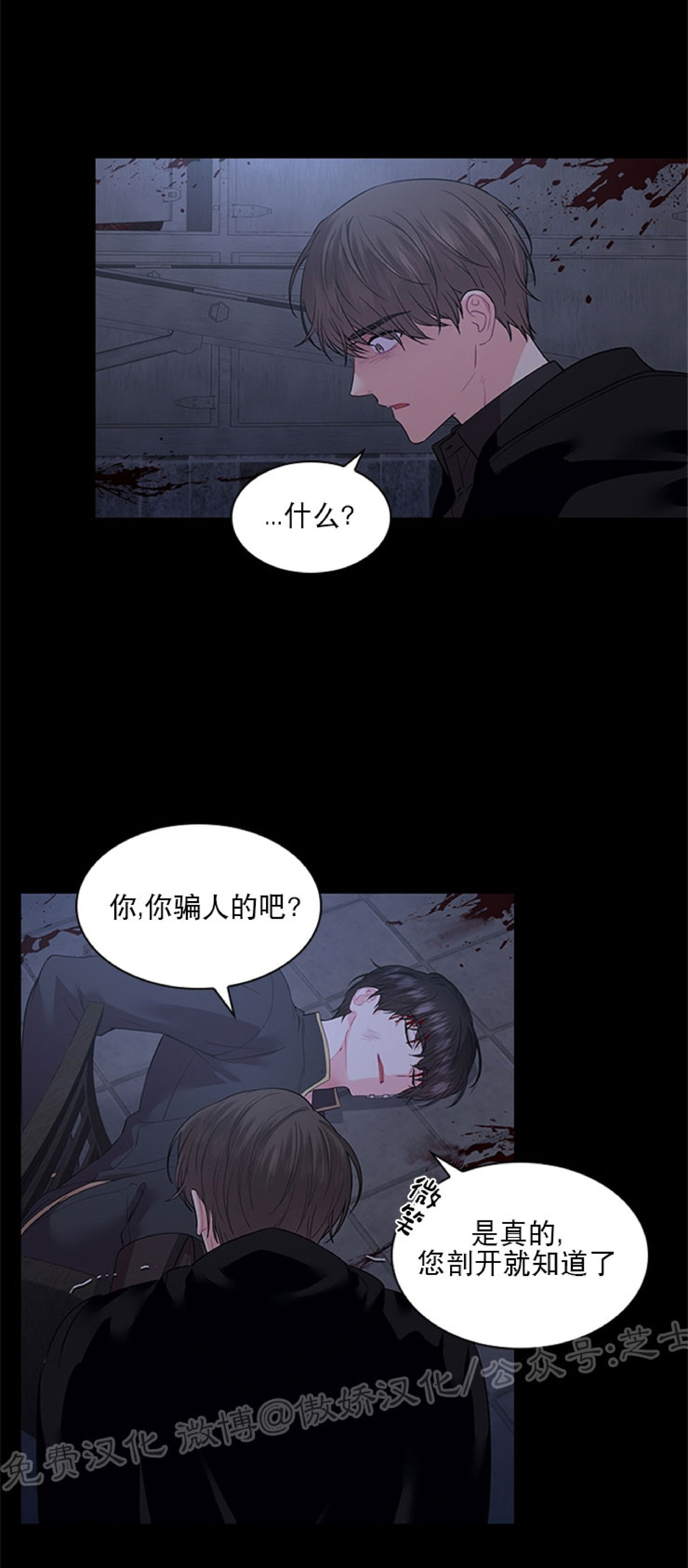 殿下的撩夫日常拉斐尔是谁漫画,第38话5图