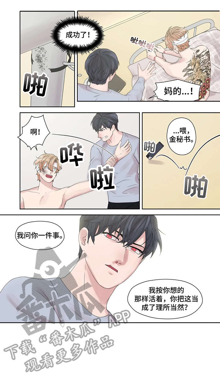 月光独奏漫画漫画,第50章：他不在1图