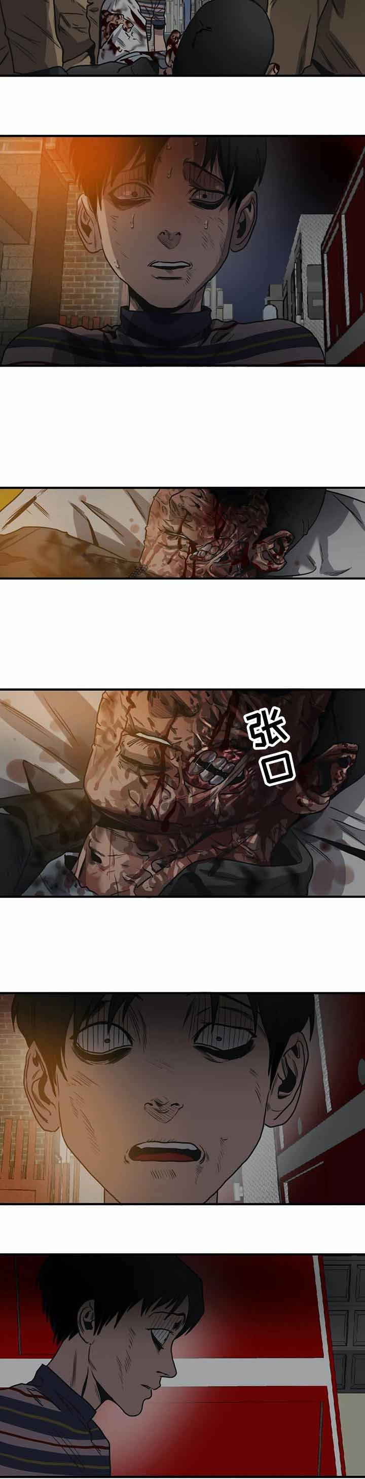 漫蛙漫画官方版正版漫画,第205话5图