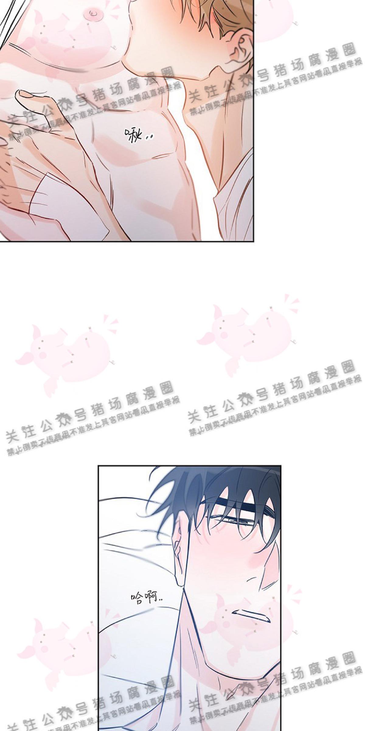 幸运乐是什么网站漫画,第28话3图