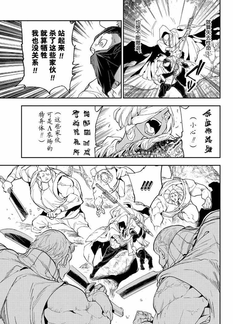 约定的梦幻岛漫画免费漫画,第144话试看版5图