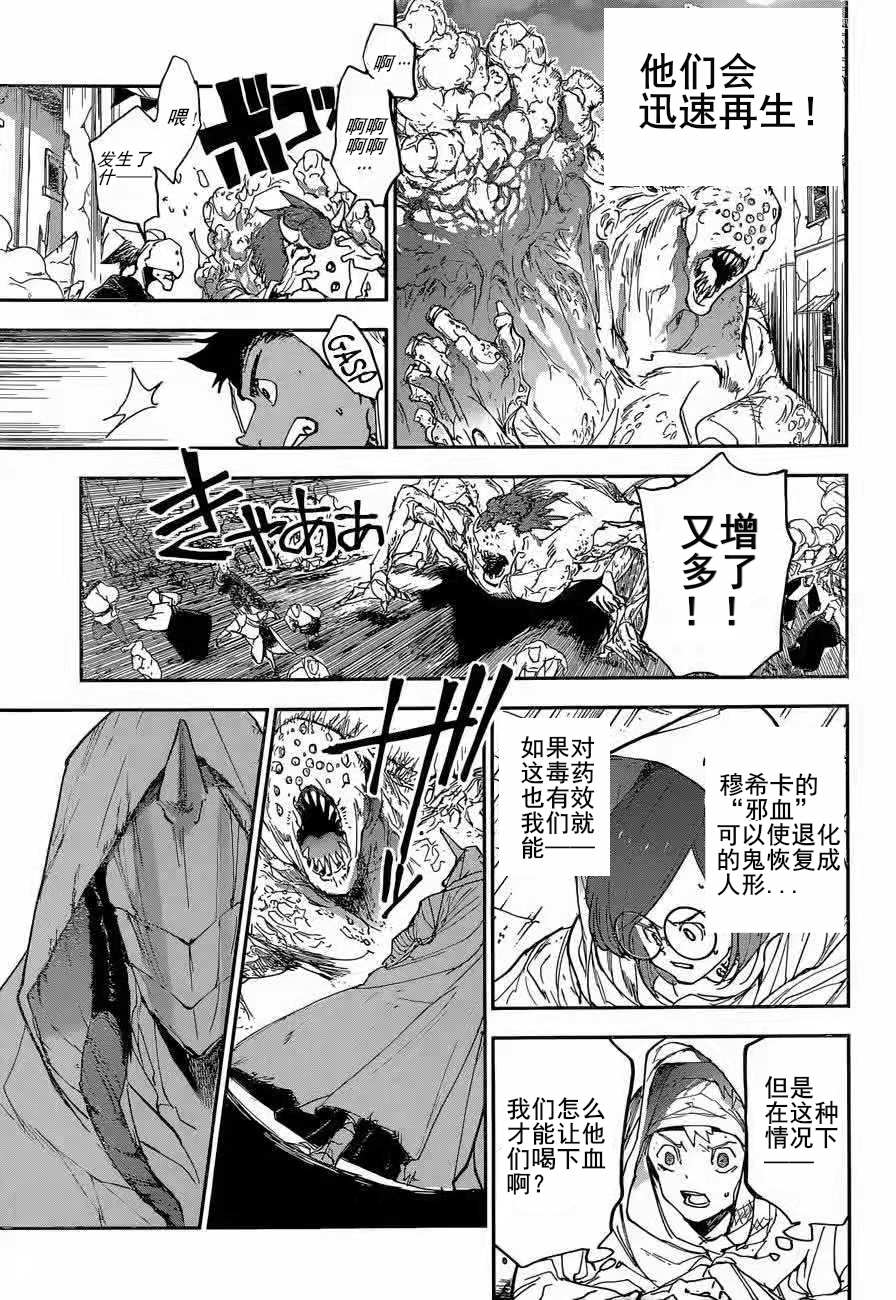约定的梦幻岛漫画免费漫画,第155话试看版3图