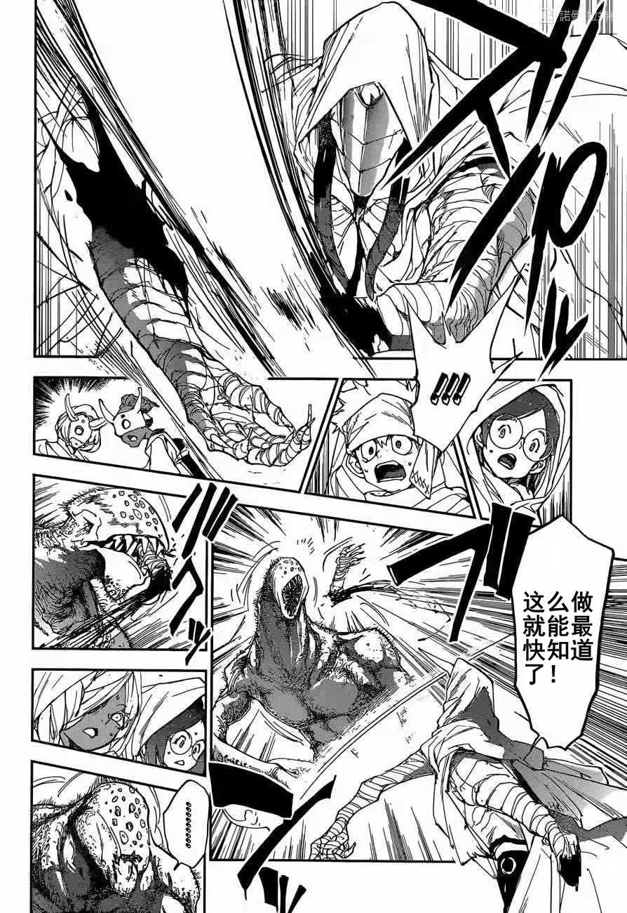 约定的梦幻岛漫画免费漫画,第155话试看版4图