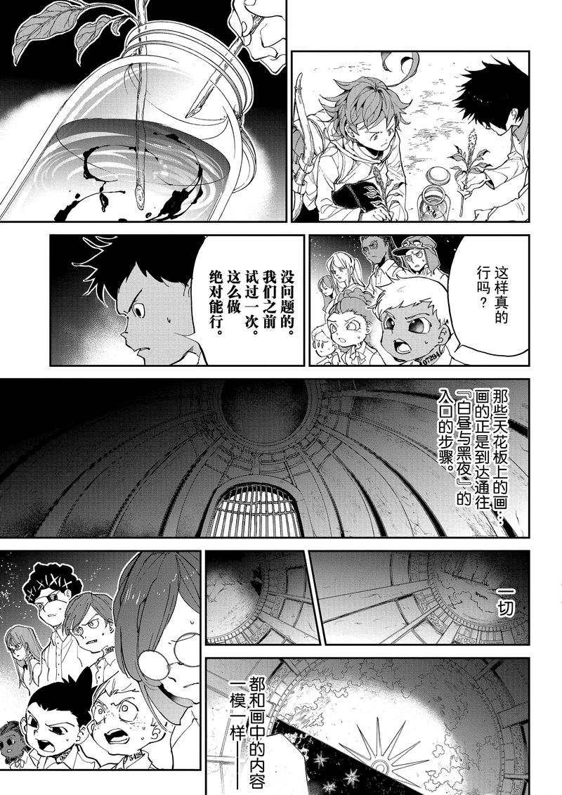 约定的梦幻岛漫画免费漫画,第131话试看版5图