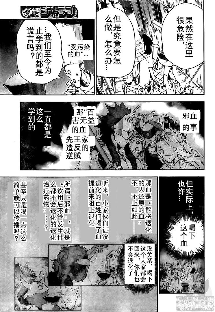 约定的梦幻岛漫画免费漫画,第164话试看版5图
