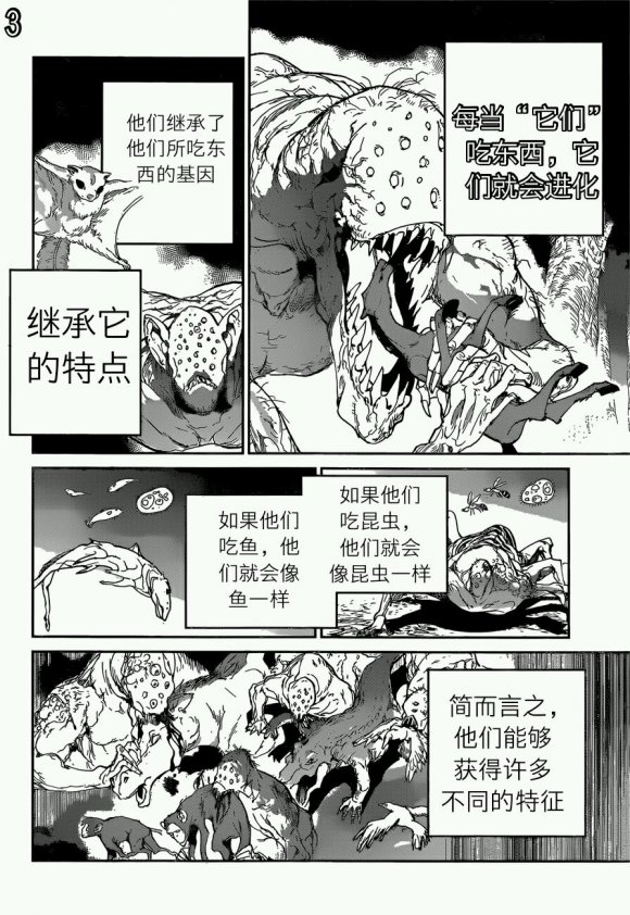 约定的梦幻岛漫画免费漫画,第120话试看版3图