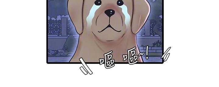 亲家四姐妹漫画,第136话4图