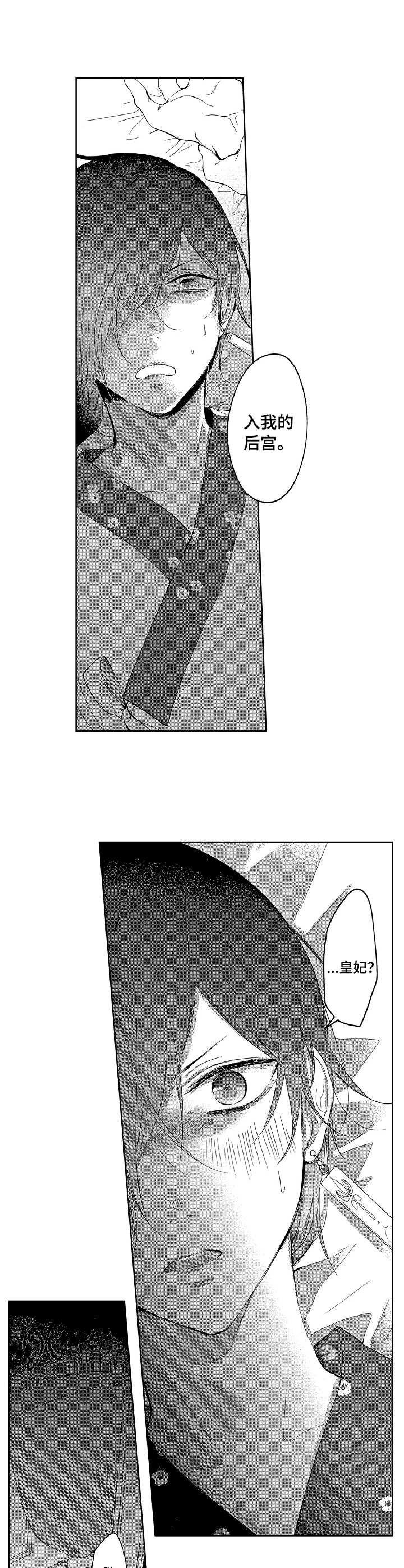 皇妃首饰漫画,第6章：皇妃3图