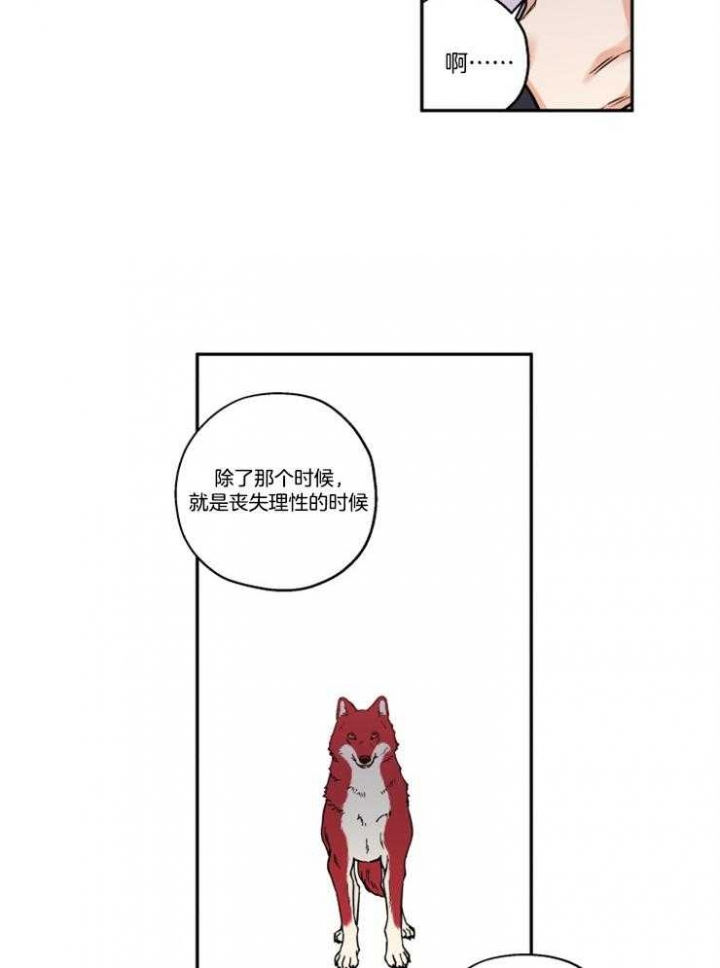 引狼入室漫画免费漫画全集漫画,第23话4图