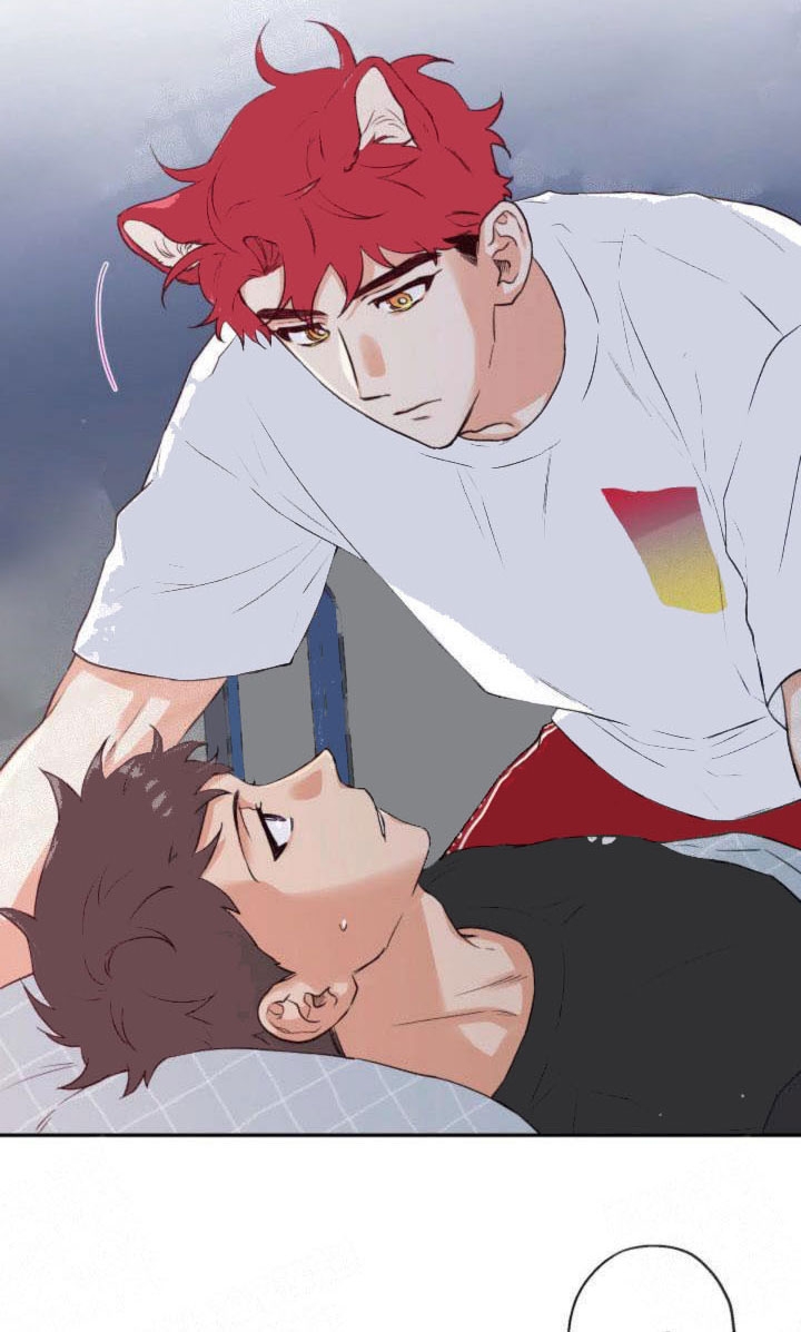 引狼入室漫画免费漫画全集漫画,第17话5图