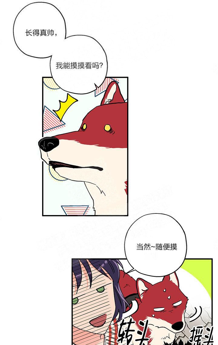 引狼入室训养记日记番外下载漫画,第3话5图