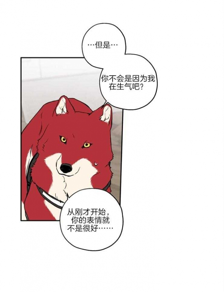 引狼入室漫画免费漫画全集漫画,第39话4图