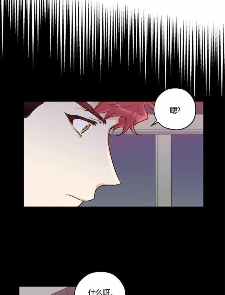 引狼入室第58集大结局漫画,第27话5图