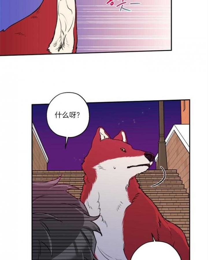 引狼入室收养记日记漫画,第35话3图