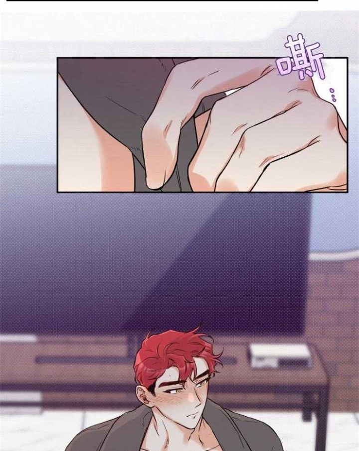 引狼入室收养记日记漫画,第43话5图