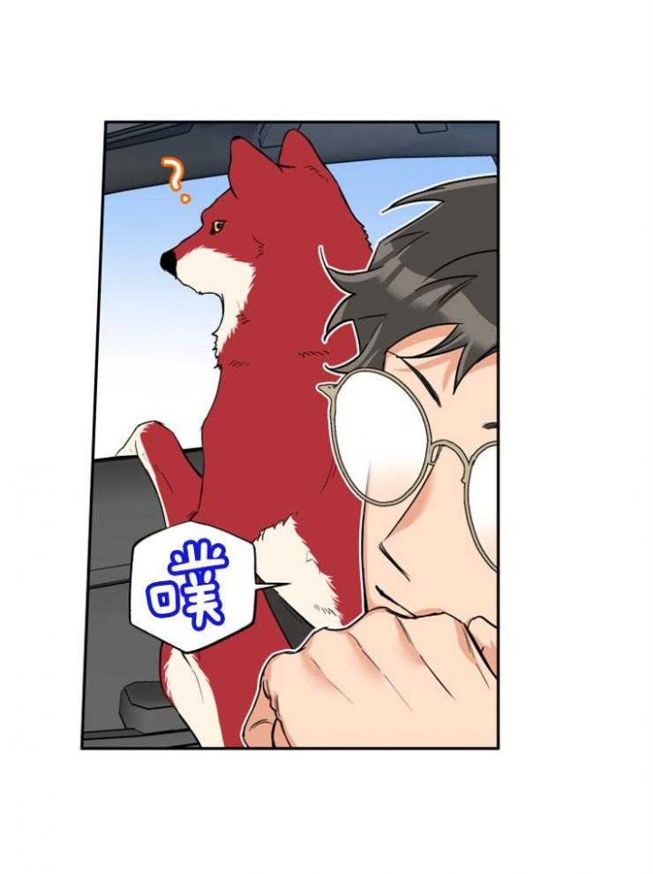 引狼入室电影免费观看漫画,第60话5图