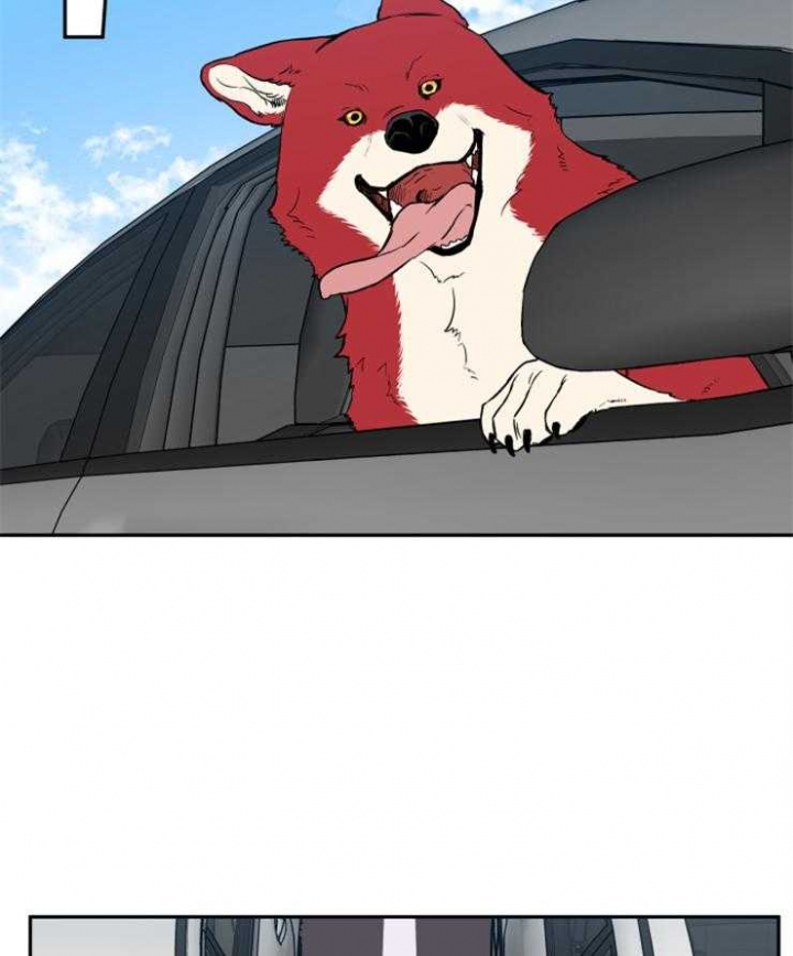 引狼入室电影免费观看漫画,第60话2图