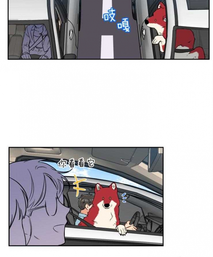 引狼入室电影免费观看漫画,第60话3图