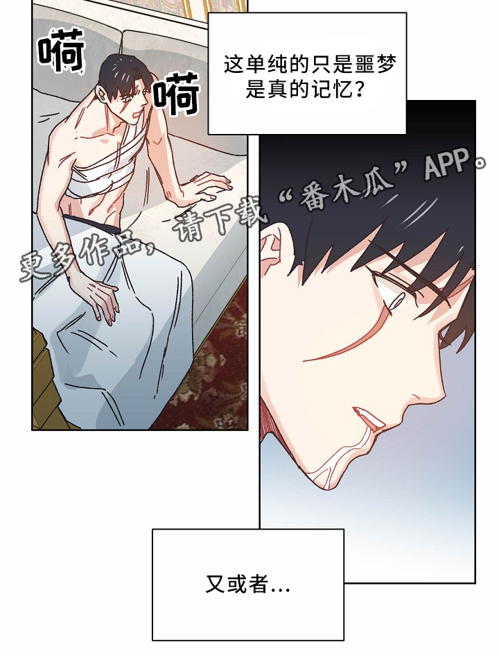 破碎的记忆游戏评测漫画,第35章：记忆3图