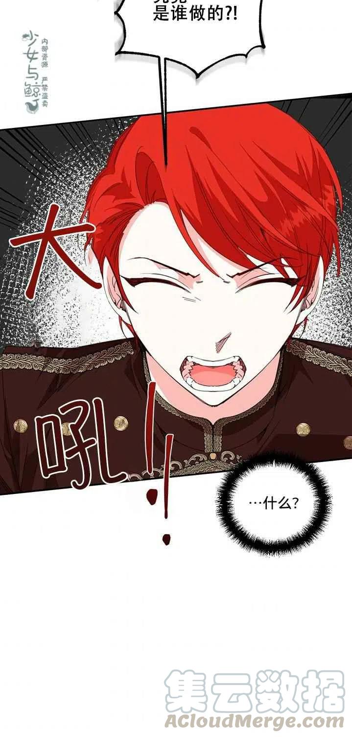 绝症恶女的完美结局漫画下拉式漫画,第16话4图