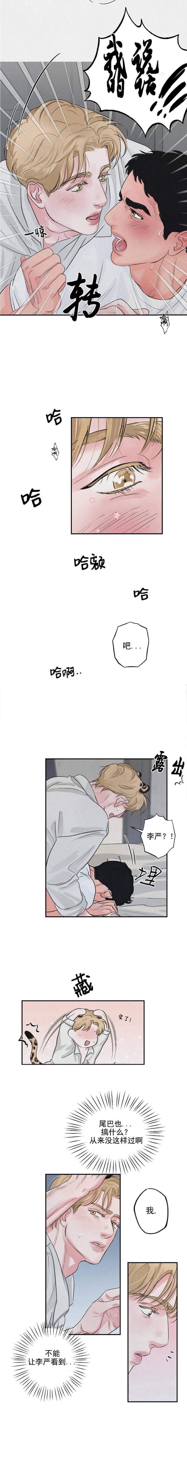丛林游戏HD免费观看漫画,第9话3图