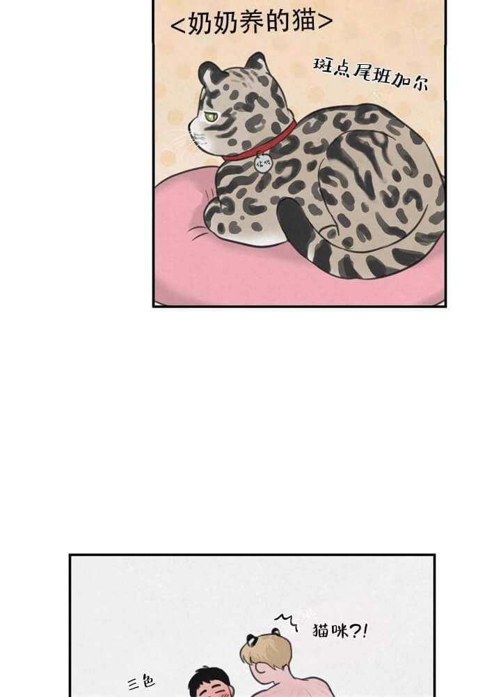 丛林游戏HD免费观看漫画,第19话2图