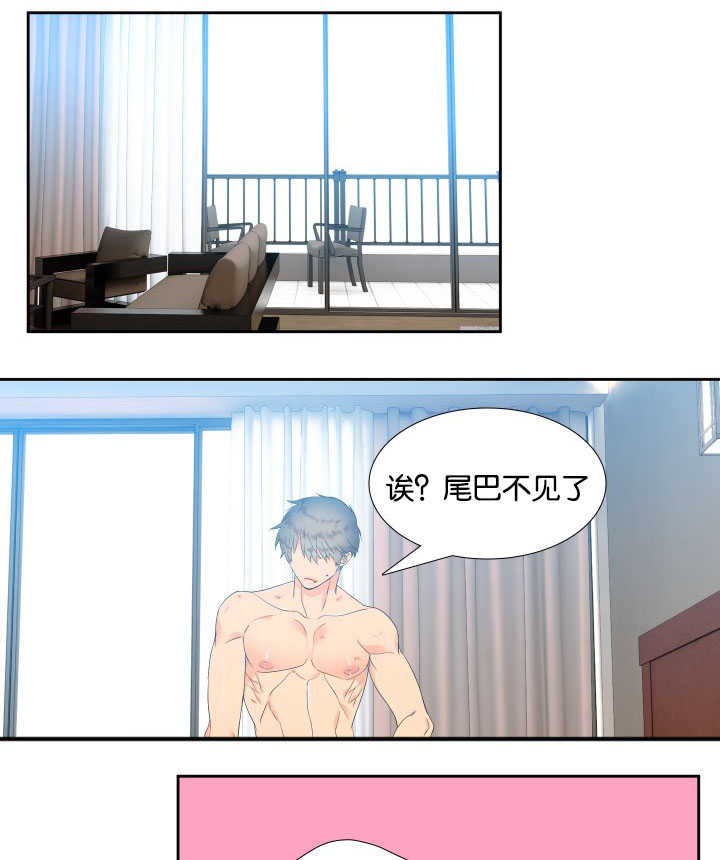 狼的香气免费版漫画,第33章：很依赖你3图