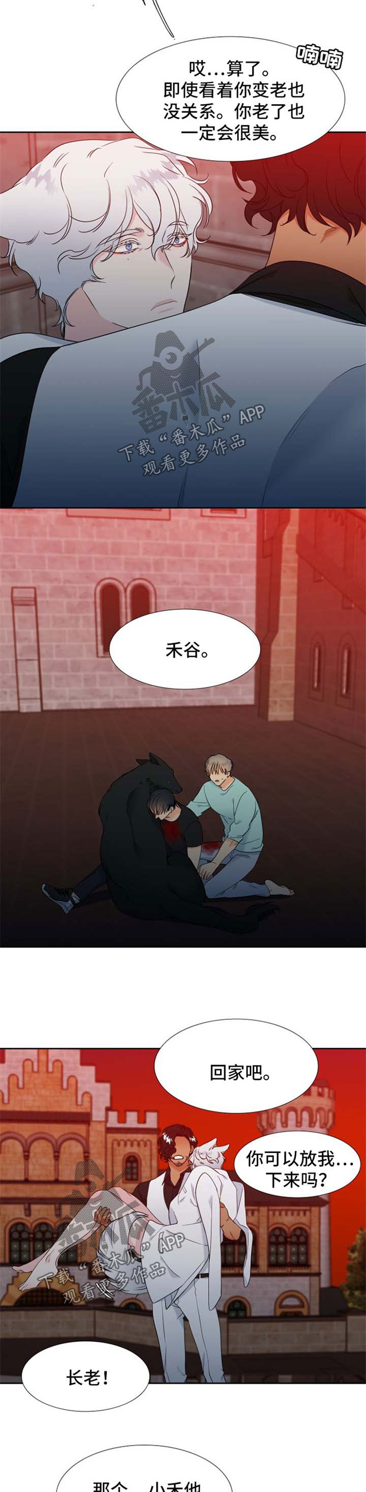 狼的香气完整版漫画,第187章：【第二季】组建一个幸福家庭3图