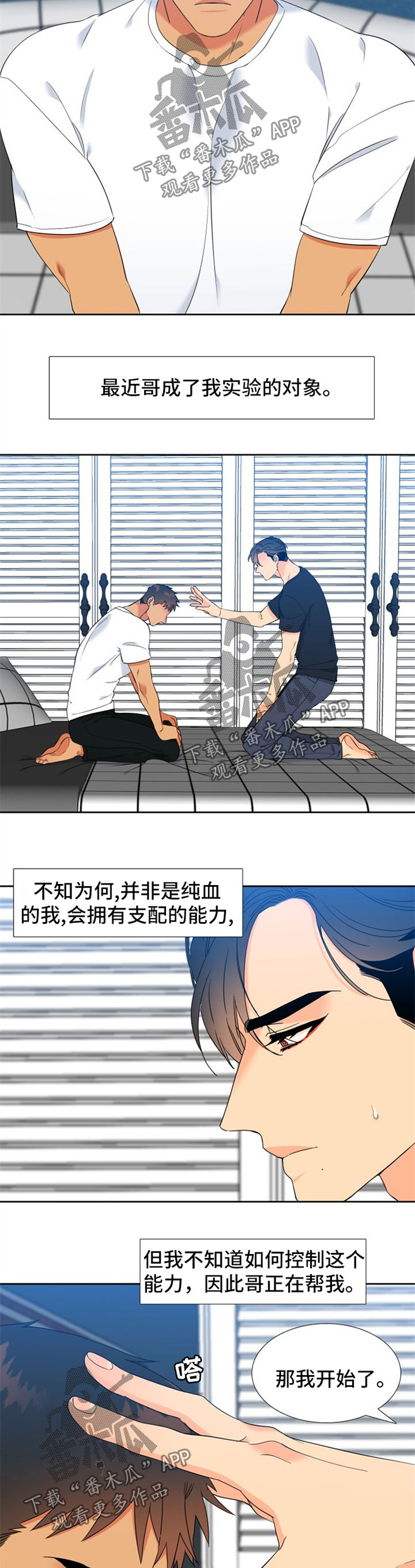 狼的香气漫画免费阅读全集漫画,第227章：【第二季】下一任狼族首领2图
