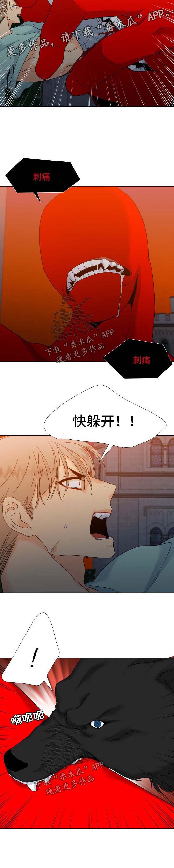 狼的香气完整版漫画,第184章：【第二季】快离开这儿4图