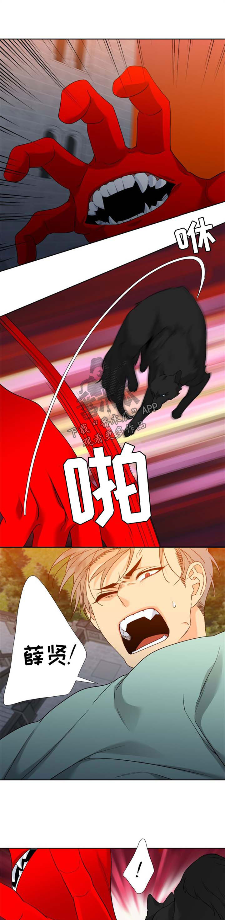 狼的香气完整版漫画,第184章：【第二季】快离开这儿5图