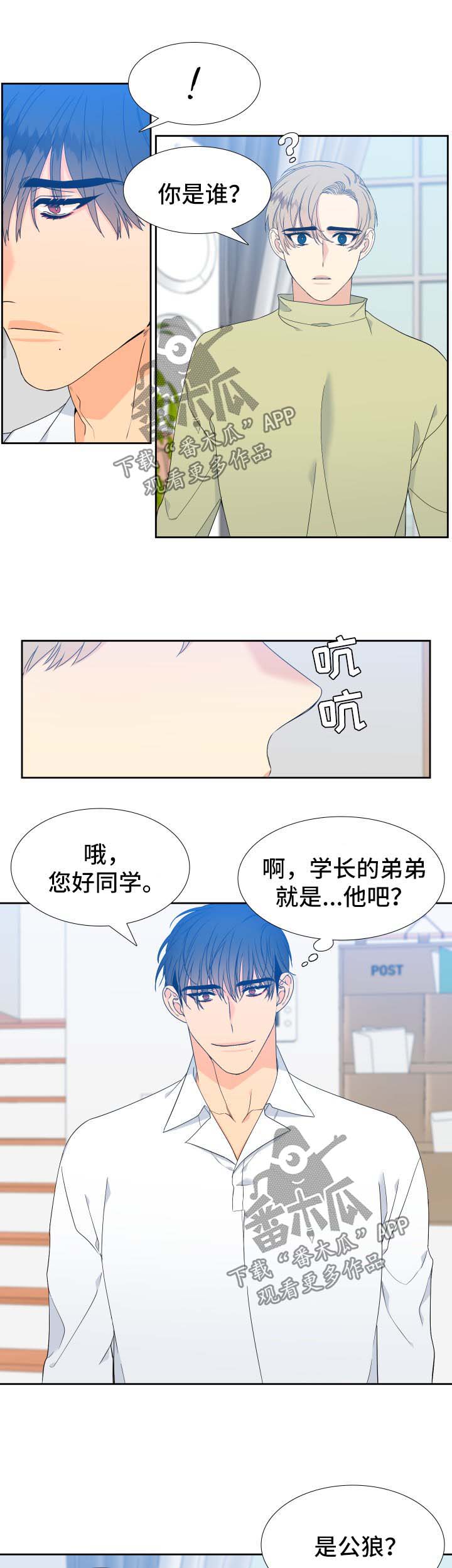 狼的香气韩漫漫画,第139章：【第二季】只有我能叫哥2图