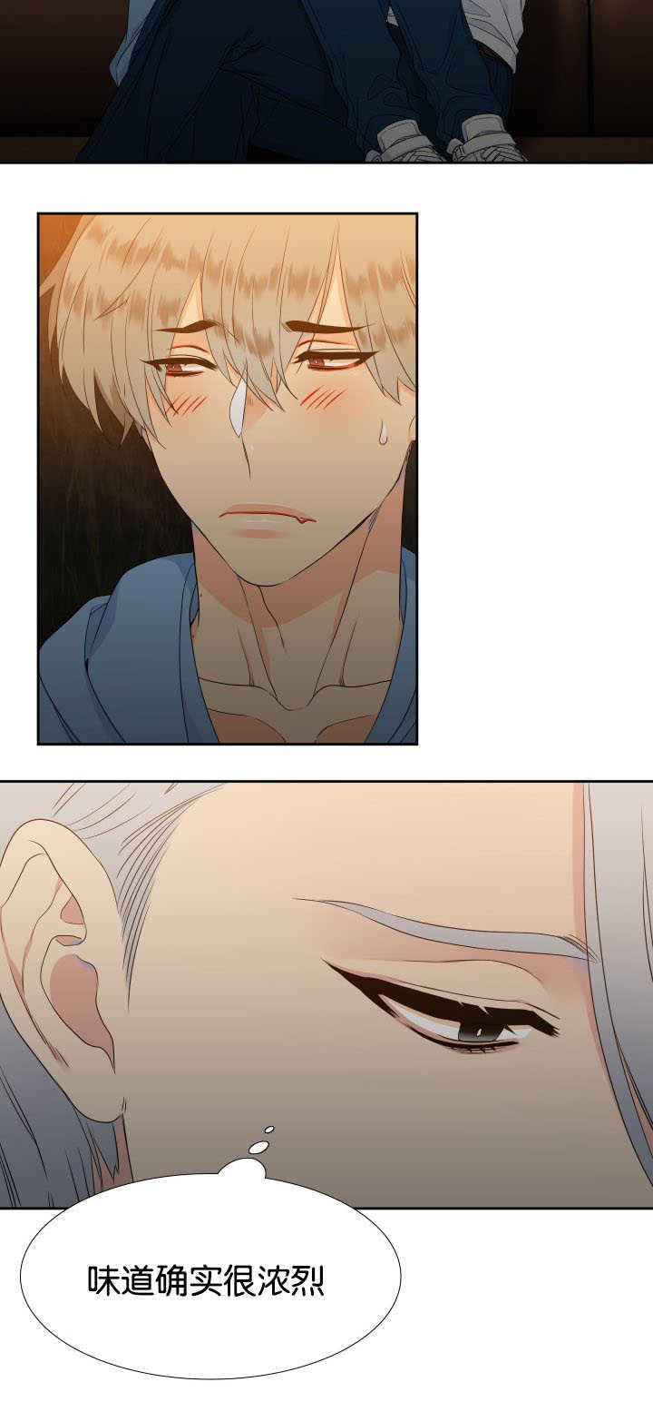 狼的香气免费全集漫画,第29章：味道浓烈4图