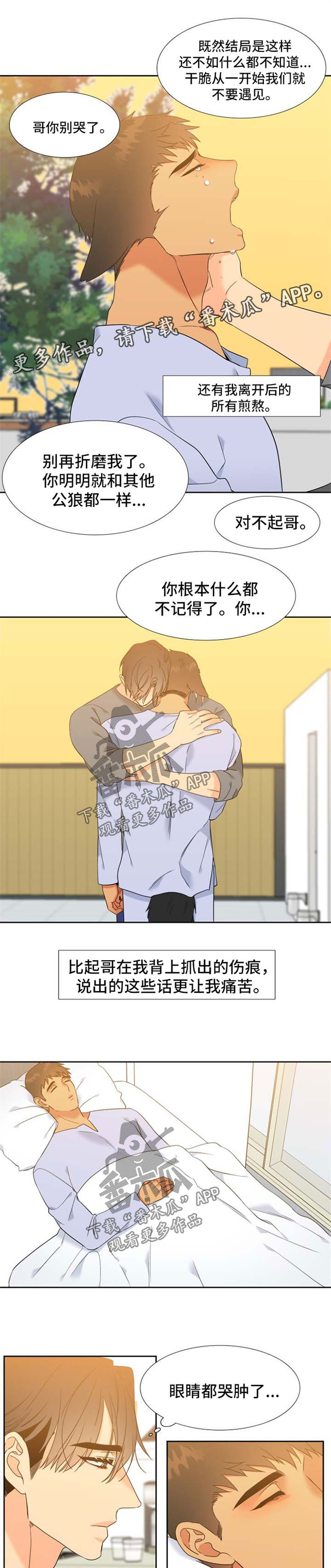 狼的香气完整版漫画,第200章：【第二季】薛贤的记忆4图