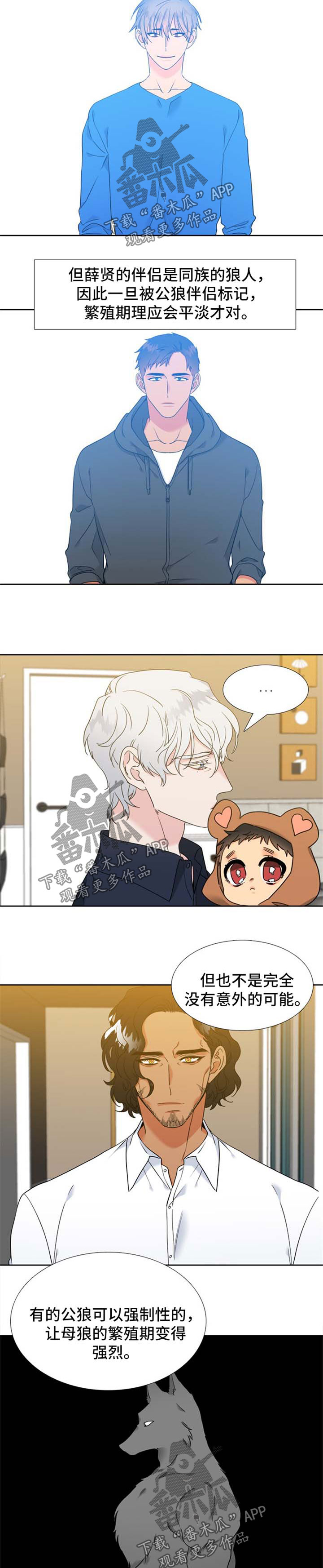 狼的香气原文漫画,第217章：【第二季】新的研究对象3图