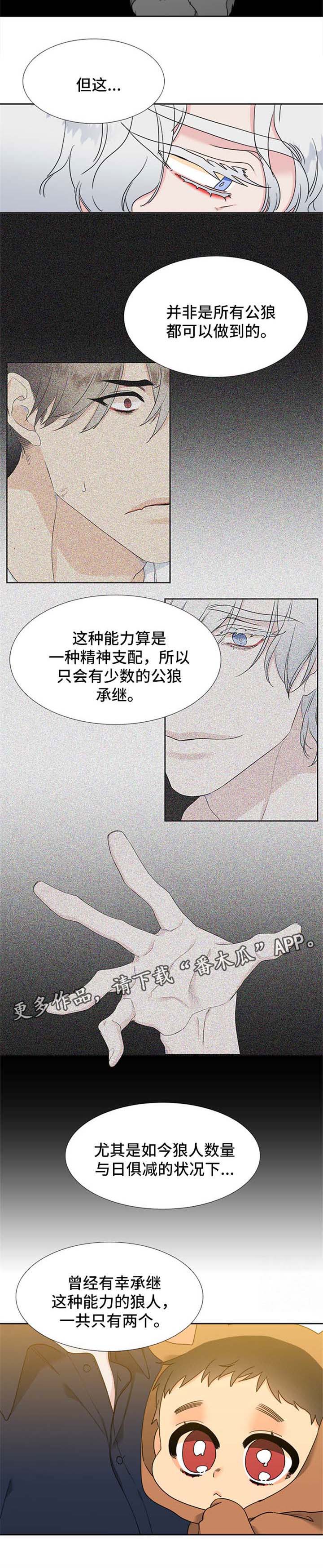 狼的香气原文漫画,第217章：【第二季】新的研究对象4图