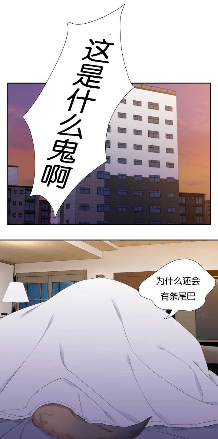 狼的香气免费版漫画,第31章：随心所欲4图